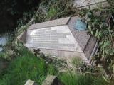 image of grave number 564988